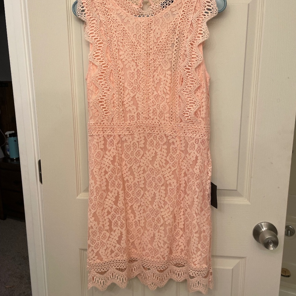 Lulus My Sweetheart Blush Pink Lace Mini Dress